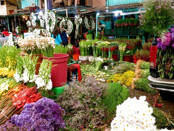Mexico City: Hidden Markets, Street Food & Salsa-Making Tour - Riding the Mexico City Metro to Mercado Jamaica