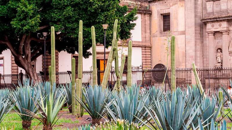Mexico City: Historic Downtown Walking Tour - The Post Office Building’s theatrical details