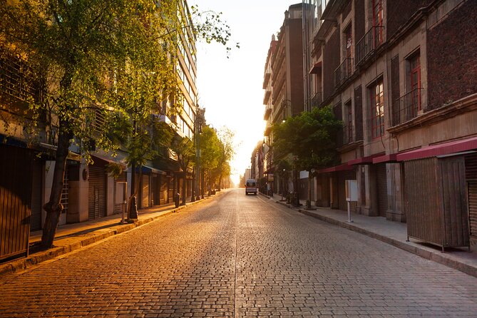 Mexico City Layover Tour: Downtown City Sightseeing - Communication and timing are real strengths