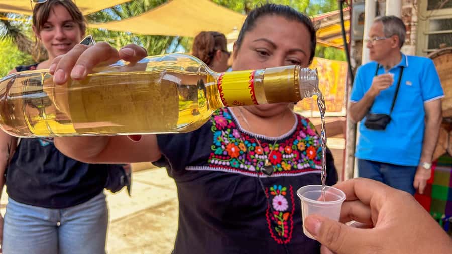 Mexico City: Teotihuacan, Tlatelolco & Guadalupe Shrine Tour - How the coach, timing, and group size affect the day