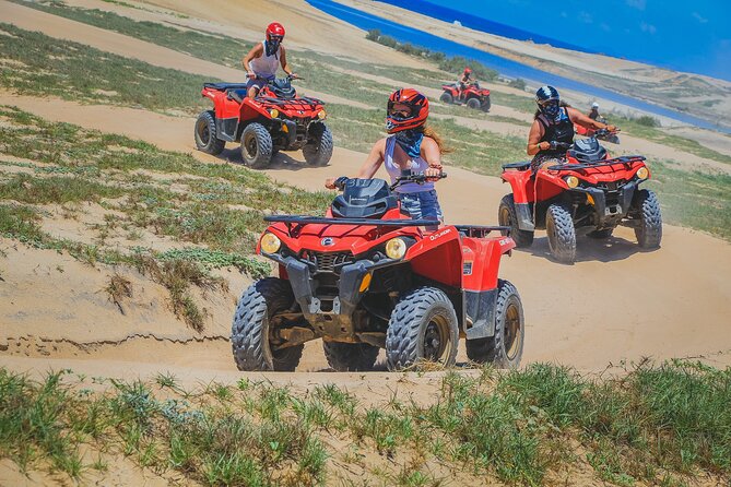Migriño Beach and Desert ATV Tour in Cabo - Migriño Beach, dunes, and Pacific cliffs