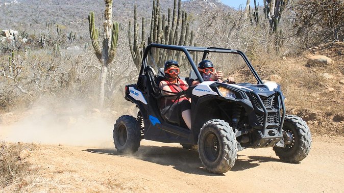 Migriño & Desert off-road Tour UTV Adventure - What the $110 price really covers