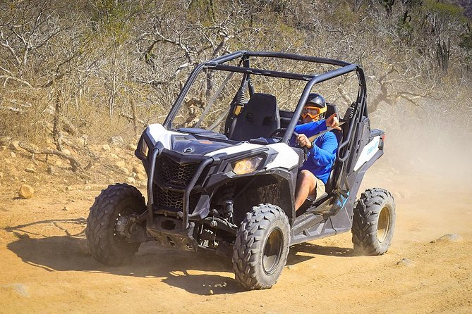 Migriño & Desert off-road Tour UTV Adventure - Who will enjoy this Cabo adventure most