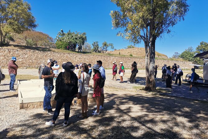 Monte Alban - Full Day Guided Tour with or without Food - Oaxaca - A Comfortable Ride From Oaxaca City