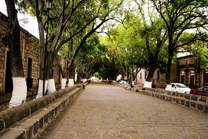Morelia City Tour - The aqueduct and Tarascas Fountain finish