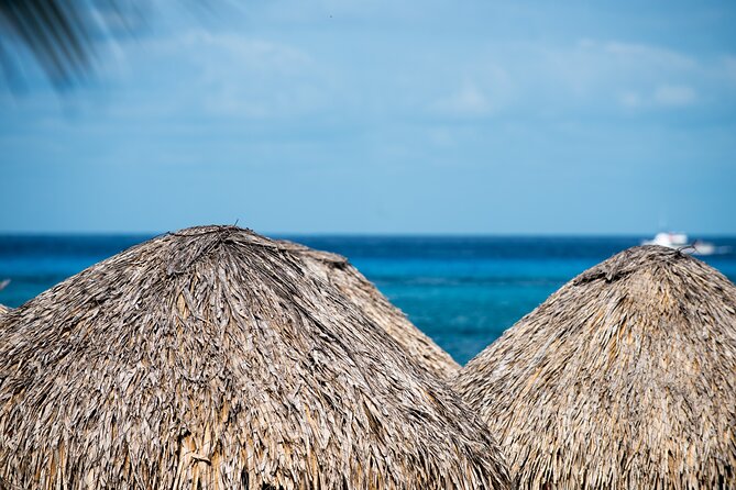 Mr. Sanchos Beach Club All-Inclusive Day Pass - Pools, kayaking, and paid extras
