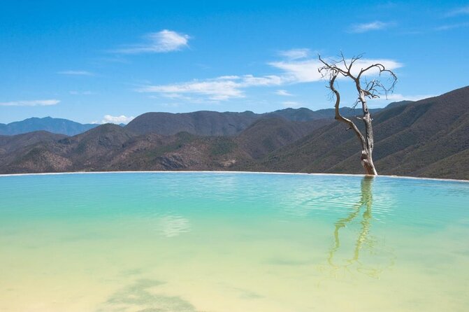 Oaxaca Conmigo Private Tours - Key things to know before booking
