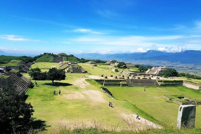Oaxaca Conmigo Private Tours - The Tule Tree and village stops add variety