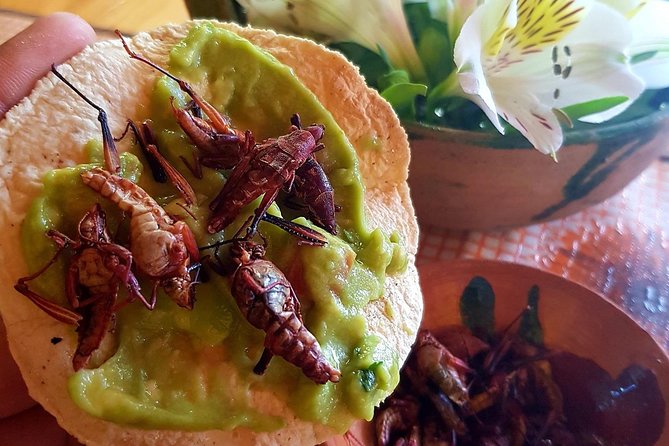 Oaxaca Conmigo Private Tours - Mezcal country is best with a patient guide