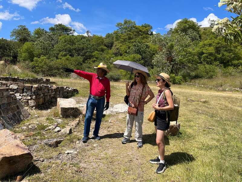 Oaxaca de Juarez: Monte Alban Half-Day Tour - Is $31 a good value?