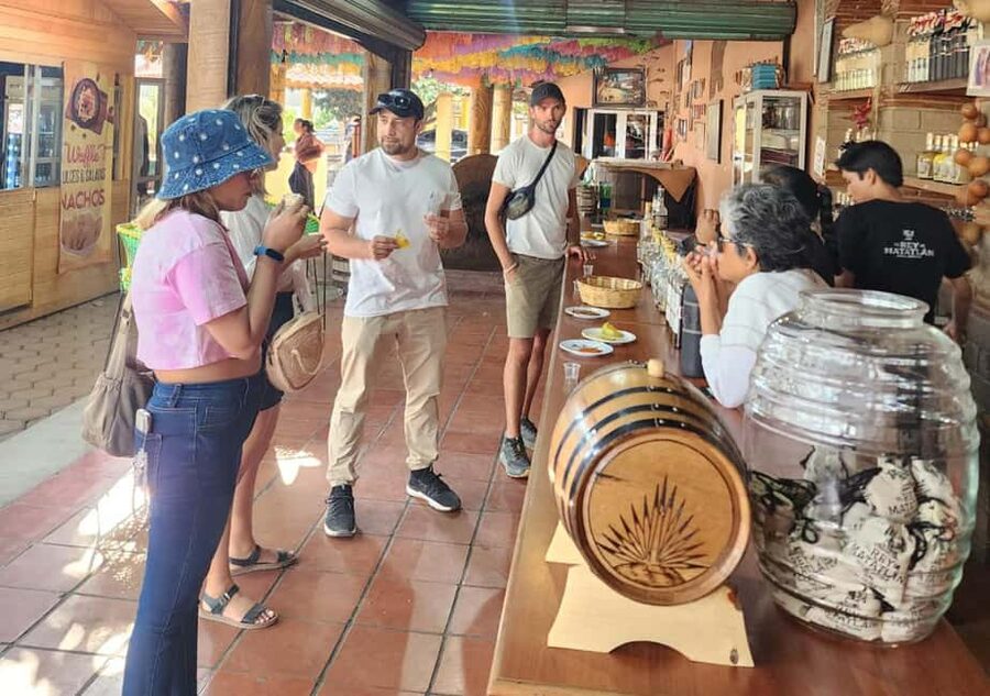 Oaxaca: Tule, Mitla & Hierve el Agua, & Mezcal Tour - Why this day trip works so well