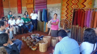Tule, Mitla & Hierve el Agua, & Mezcal Tour