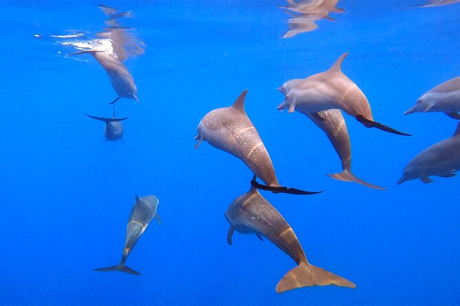 Ocean Eco Adventure with Marine Biologist Guides - Leaving Chahué Marina for the open Pacific