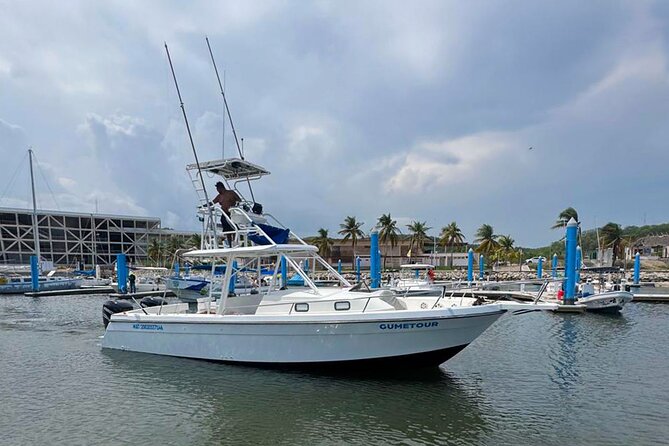 Ocean Eco Adventure with Marine Biologist Guides - Cruising the national park bays