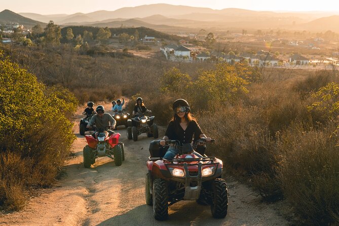 Off Road Tour Experience plus Winery visit in Baja - Don Tomas Vineyard: the tour’s relaxed reward