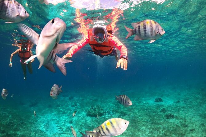Official Chankanaab Park Day pass and Snorkel with Lunch included - Why Chankanaab works well for a Cozumel stop