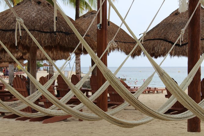 Official Chankanaab Park Day pass and Snorkel with Lunch included - Getting there and managing the timing