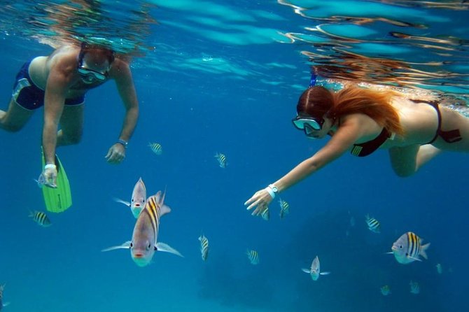 Official Chankanaab Park Day pass and Snorkel with Lunch included - The shore snorkeling is the strongest reason to go