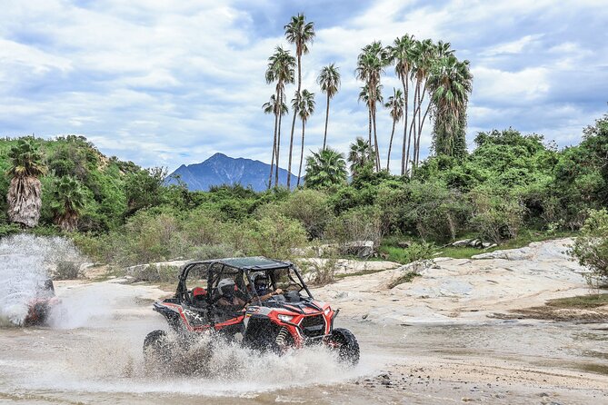 OffRoad 4X4 UTV Adventure with unlimited Lunch & Tequila - Quick Take: What Matters Most