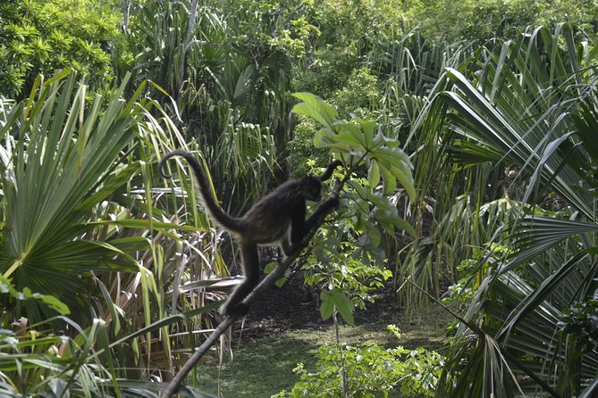 One Day Tour to Chacchoben Mayan City and Bacalar Lagoon with a Certified Guide - Booking details and cancellation terms