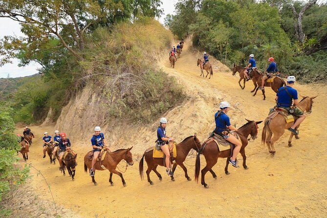 Outdoor Ziplining, Waterfalls & Speed boat in Puerto Vallarta - A mule ride before the cables begin