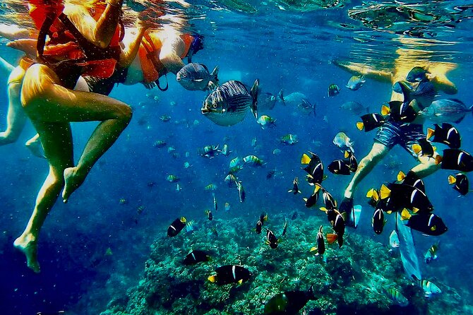 Paddleboard and Snorkeling Experience in Los Arcos - Learning to Paddle Before the One-Mile Crossing