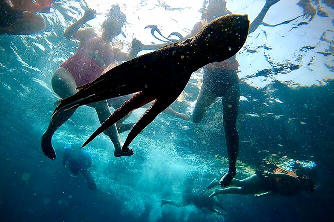 Paddleboard and Snorkeling Experience in Los Arcos - Water, Granola, and the Return Paddle
