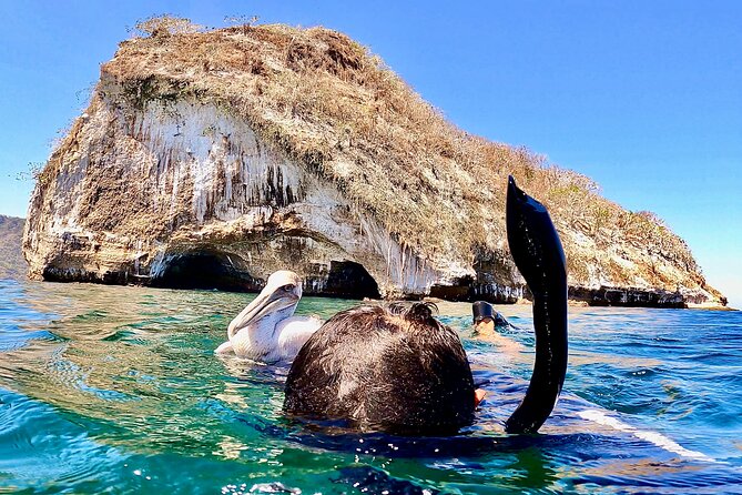 Paddleboard and Snorkeling Experience in Los Arcos - Cancellation and Weather Details