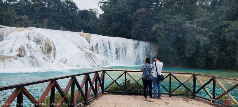 Palenque: Palenque Ruins, Agua Azul Waterfalls and Misol-Ha - Key points to know before booking