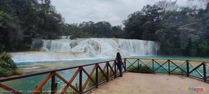 Palenque: Palenque Ruins, Agua Azul Waterfalls and Misol-Ha - Should you book this Palenque day?