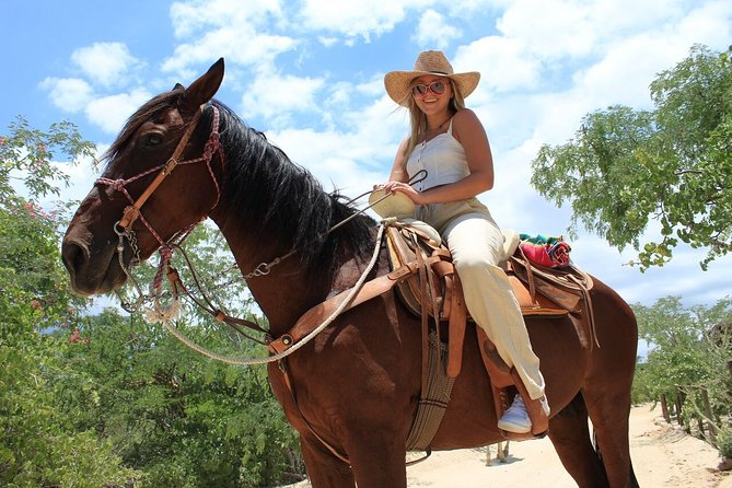Park Pass at Wild Canyon One Place, Many Adventures - Ziplines above the canyon