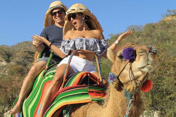 Park Pass at Wild Canyon One Place, Many Adventures - Camels and horses: gentler rides with limits