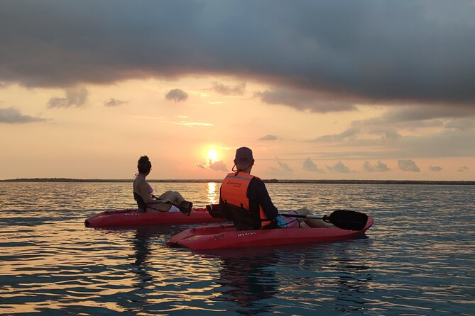 Pirate's Channel & 3 Lagoons Kayak or SUP/Paddle Tour +Meditation - Cenotes, stromatolites, and Bacalar’s natural story