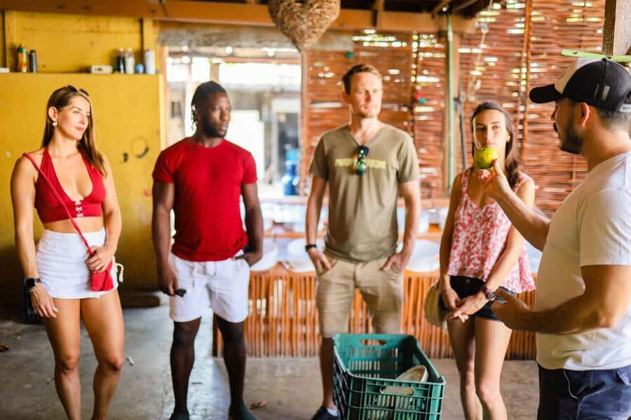 Playa del Carmen: 3-Hour Local Food Walking Tour - Chapulines and other surprises
