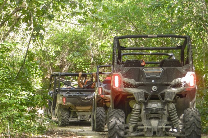 Playa del Carmen Buggy Tour with Cenote Swim and Mayan Village Visit - Why this tour offers more than a muddy ride