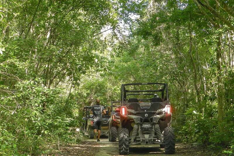 Playa Del Carmen: Cenote & Mayan Village Tour by Buggy - The Private Cenote in the Jungle