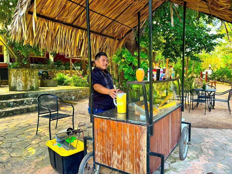 Playa del Carmen: Chichen Itza, Valladolid, Cenote & Buffet - Chichen Itza: make the most of two and a half hours