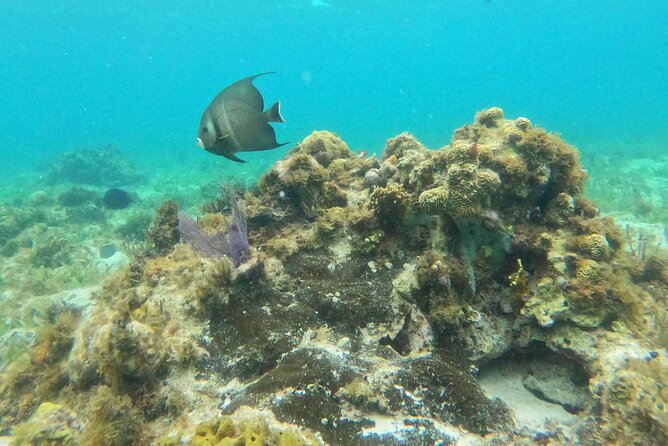 Premium Isla Mujeres Tour by Private Catamaran - Two hours to find your own Isla Mujeres