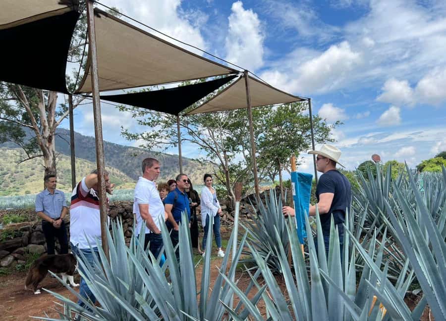 Premium Tequila Route with professional tasting - Five things to know before booking