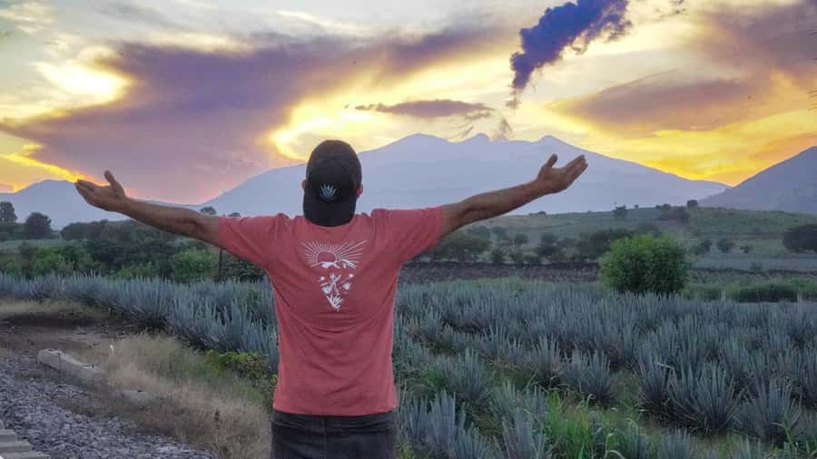 Premium Tequila Route with professional tasting - Ending at Cantaritos El Güero