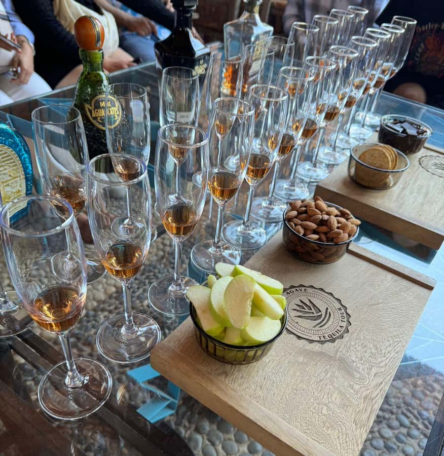 Premium Tequila Route with professional tasting - Language, accessibility, and who will enjoy it