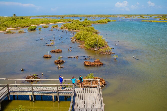 Private Buggy Tour and Punta Sur Park: All-Inclusive - El Mirador and the island’s east coast