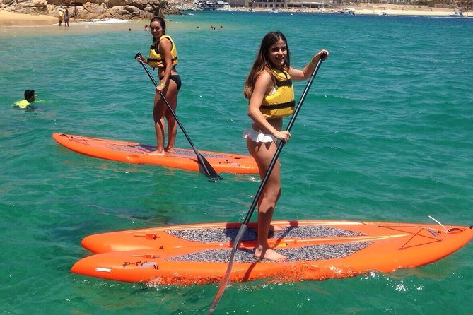 Private Cabo 35ft cat experience Food and open bar included! - Sea lions, whales, and changing conditions