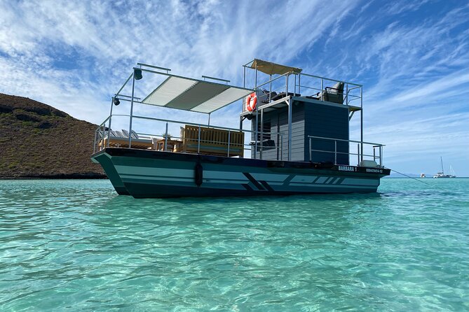 Private Cabo 35ft cat experience Food and open bar included! - Food, drinks, music, and the feel aboard