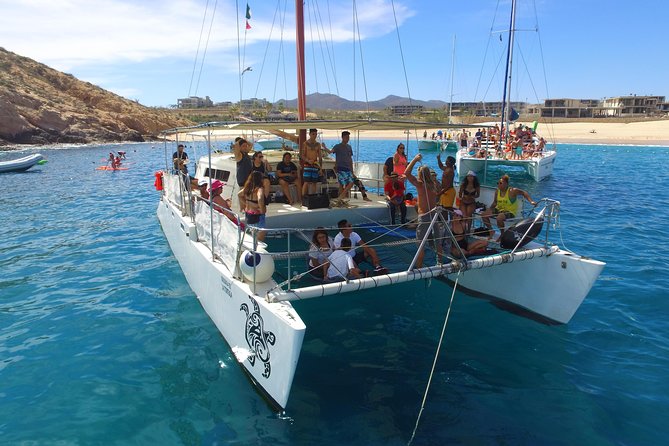 Private Catamaran Snorkeling Cruise in Los Cabos - Sea lions, whales, dolphins, and other wildlife