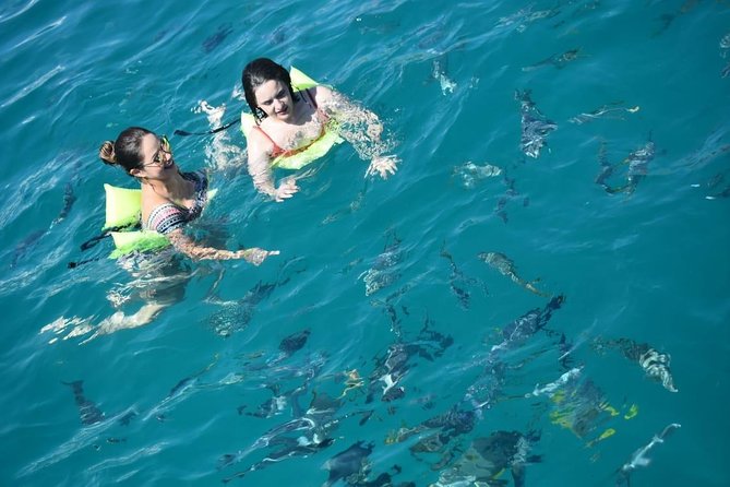 Private Catamaran Snorkeling Cruise in Los Cabos - Is $950 a good value for up to 10 people?
