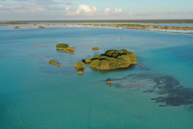 Private Catamaran Tour - Stromatolites and the origins of life