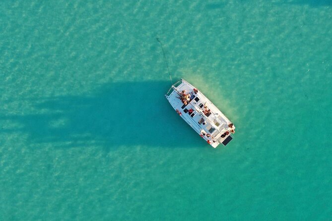 Private Catamaran Tour - A quiet finish at Isla de los Pájaros
