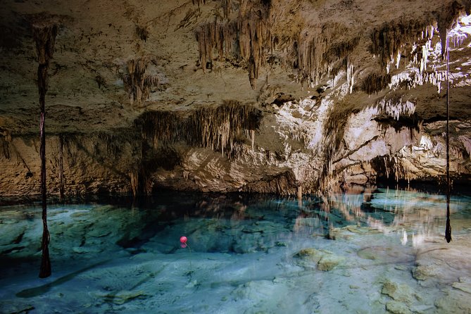 Private Cenote & Snorkeling Tour with Turtles in Akumal - Who Will Enjoy This Tour Most?