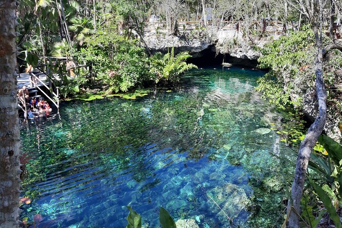 Private Cenotes tour - Casa Cenote: mangroves, fish, and open sky